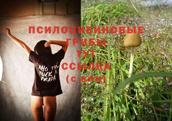 каннабис Абаза